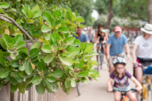Serignan Plage campsite Herault Activities Sport Family Cycling