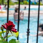 Camping Serignan Plage Herault Zwemmen Lagunebad Roze Zwembad