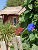 Campingplatz Serignan Plage Herault Cabane Pecheur Premium 3 Zimmer Außenbereich Natur