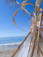 Serignan Plage Campsite Herault Beach Countryside