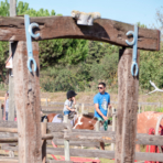 Serignan Plage Campsite Herault Children Pony Play Areas