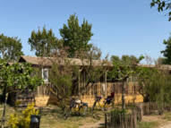 CABANE JARDIN