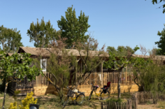 CABANE JARDIN