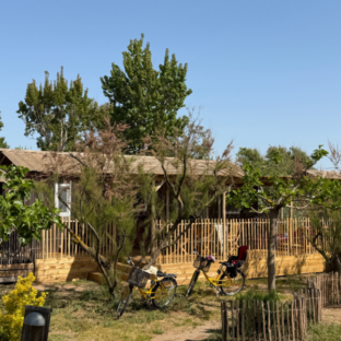 CABANE JARDIN