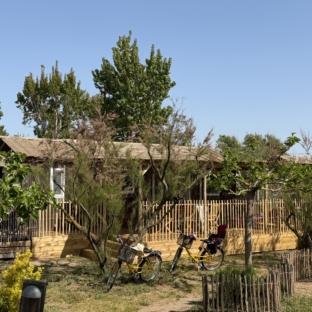 CABANE JARDIN